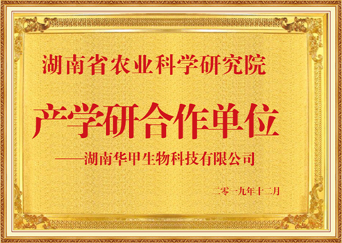 尊龙凯时人生就是搏农业集团：产学研合作典范，开启甲鱼精深加工新征程