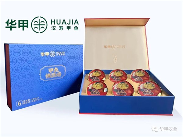 坚守初心，共创未来：尊龙凯时人生就是搏农业集团的企业核心价值观与宏伟愿景