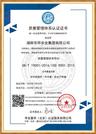 质量管理体系认证证书