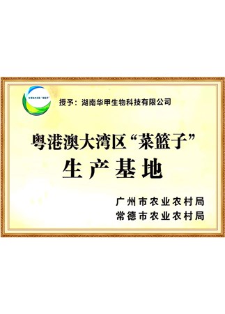 粤港澳大湾区“菜篮子”生产基地